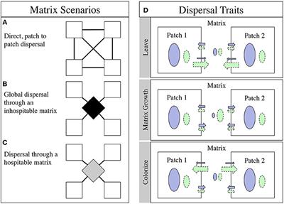 Life Between Patches: Incorporating Microbiome Biology Alters the Predictions of Metacommunity Models